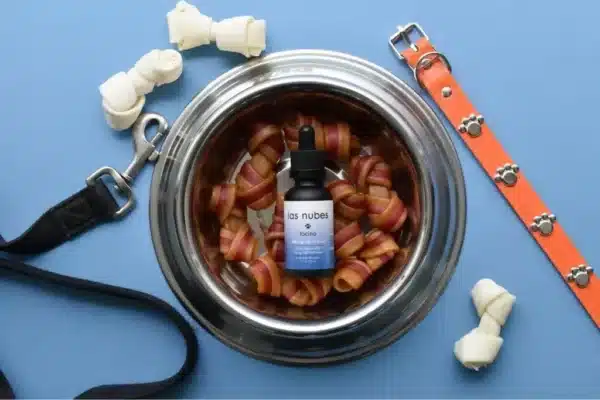 CBD para mascotas perros y gatos