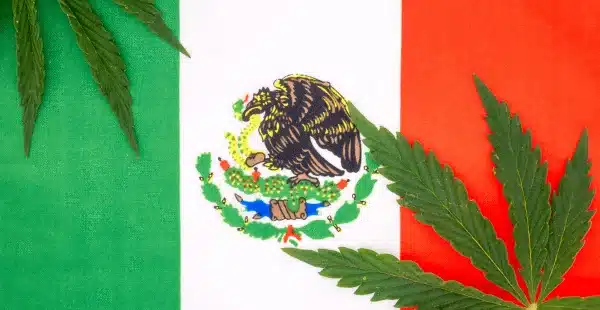 CBD es legal en Mexico