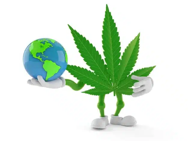 Cannabis legal en Mexico y el mundo